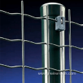 Euro Welded Wire Mesh Fence